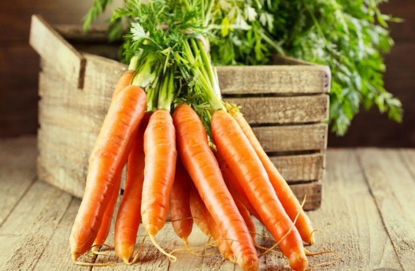 Зберігання моркви на зиму