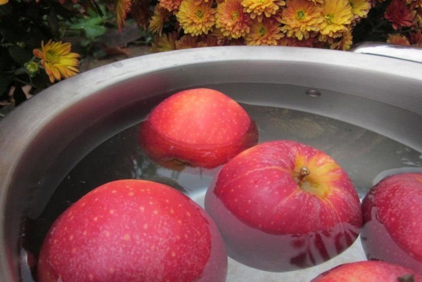 Обробка яблук до початку сушіння