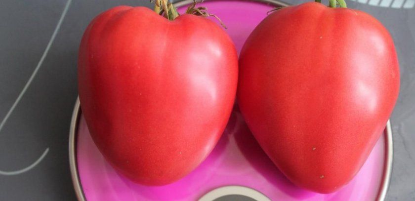 рожевий томат