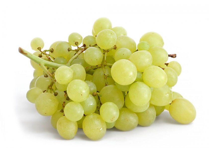 білий виноград