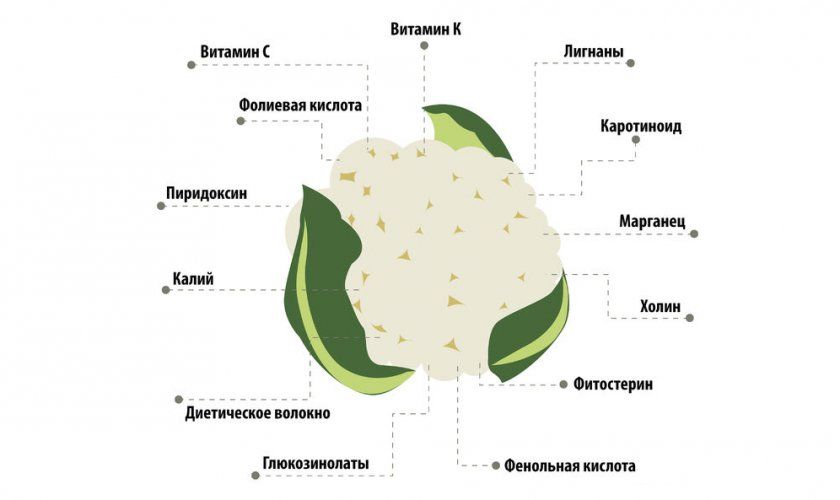 Склад цвітної капусти