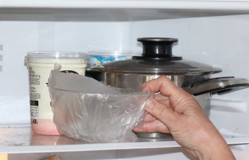 Загартування насіння цибулі в холодильнику