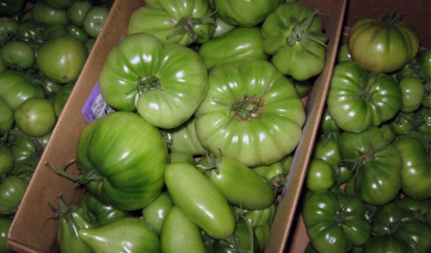 Зберігання зелених помідор
