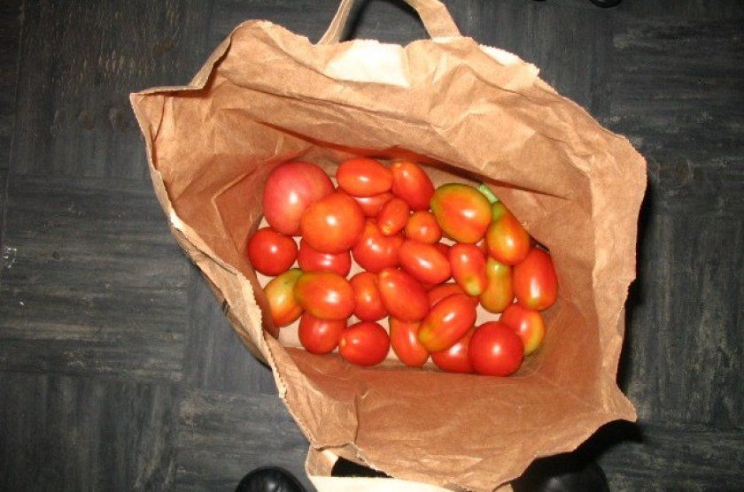 Зберігання помідор в паперовому пакеті