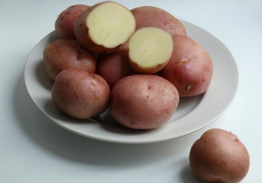 Картопля Альваро