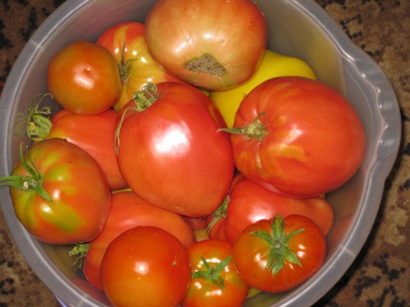Збору і зберігання помідорів
