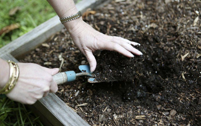 Підготовка ґрунту в теплиці