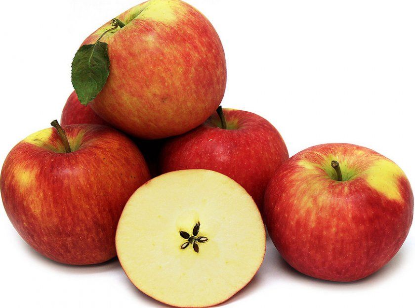 Плоди яблуні сорту Пінова