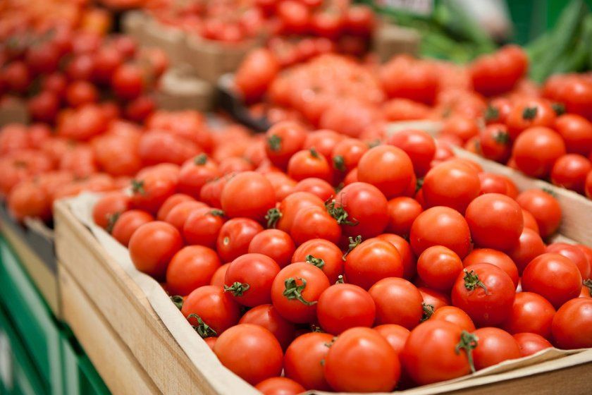 Як вибрати помідори для консервації