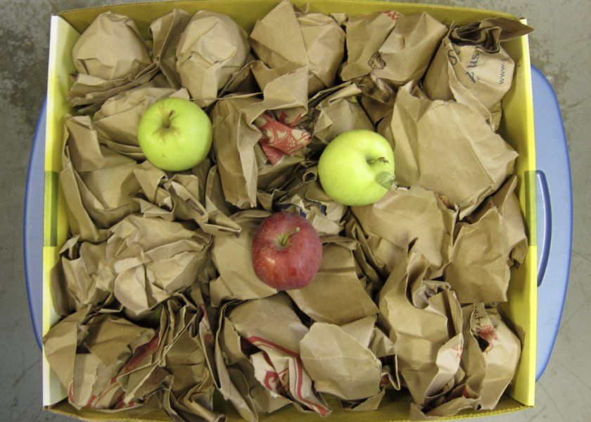 Зберігання яблук в папері