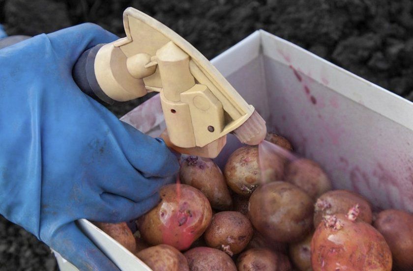 Обробка картоплі
