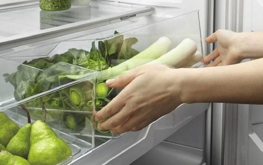 Зберігання цибулі-порею в холодильнику