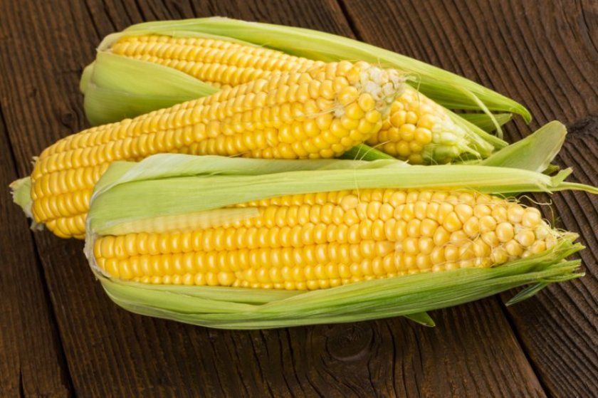 Як вибрати кукурудзу в качанах
