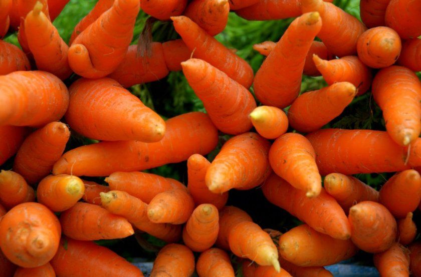 морква