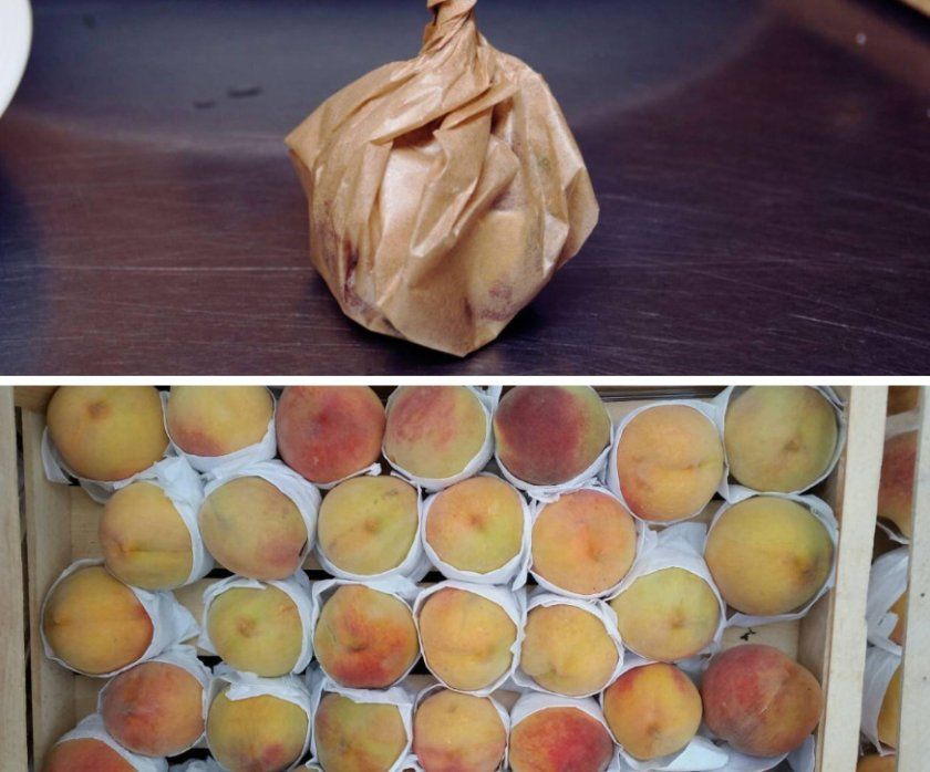 зберігання персика