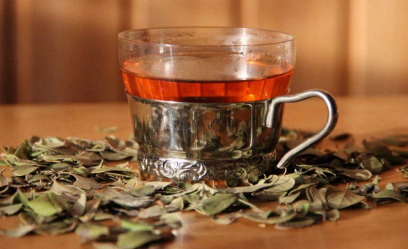 Чаю з листя брусниці