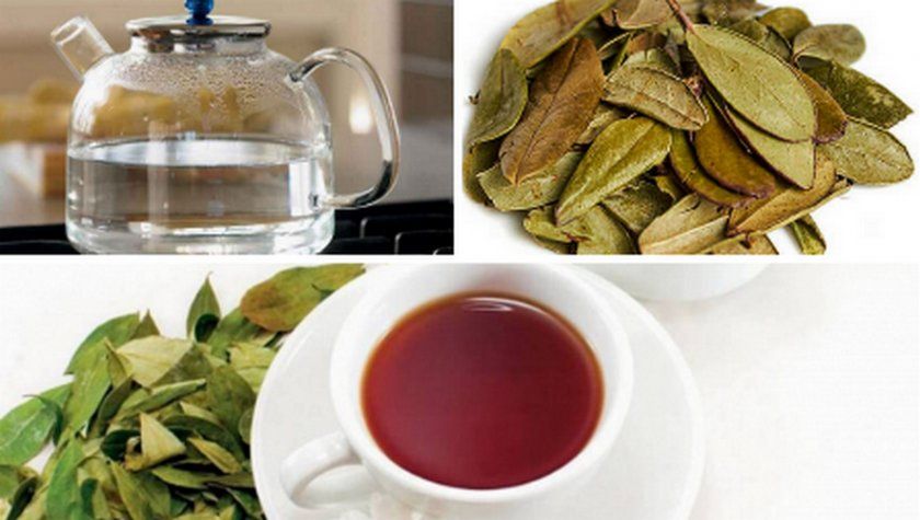 Чай з листям брусниці