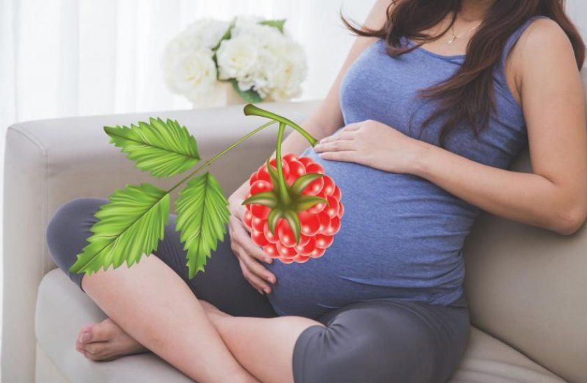 Малина при вагітності