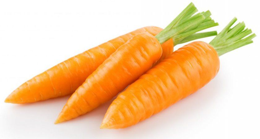 морква Каротель