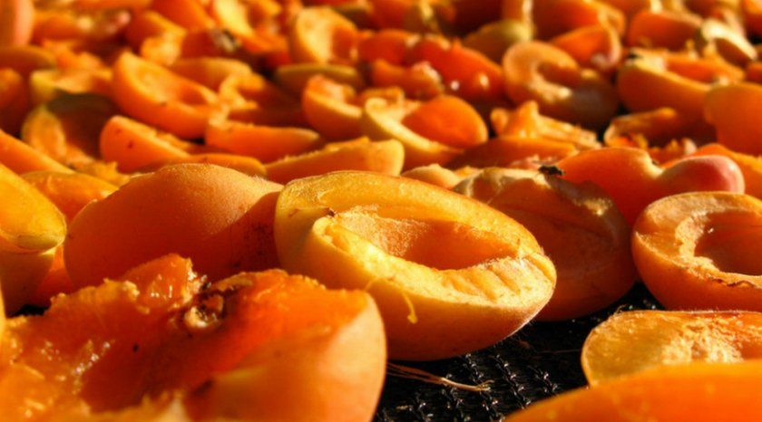 Сонячна сушка абрикоса