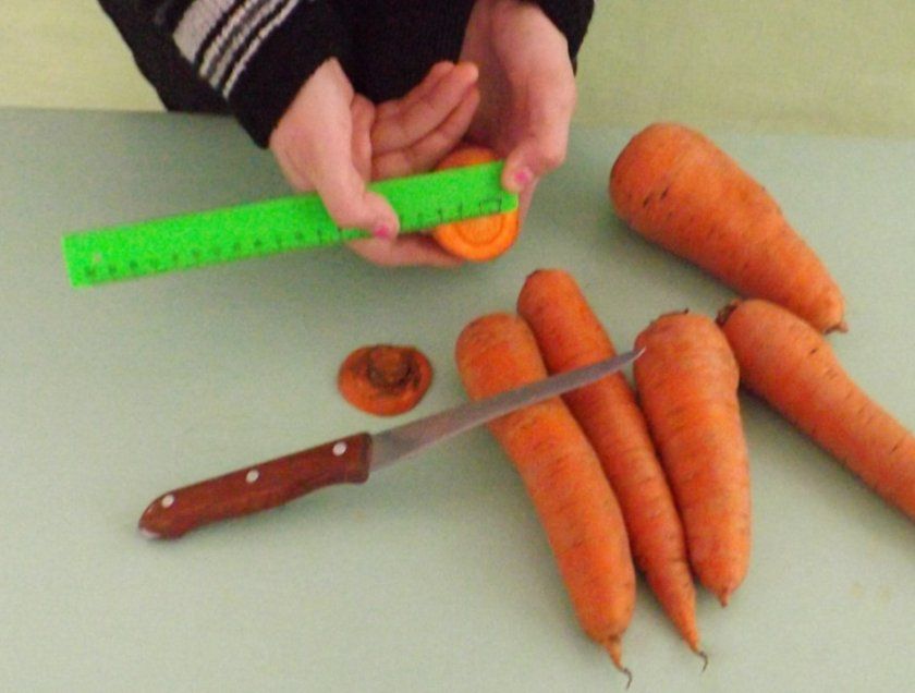 Як виміряти поверхню моркви