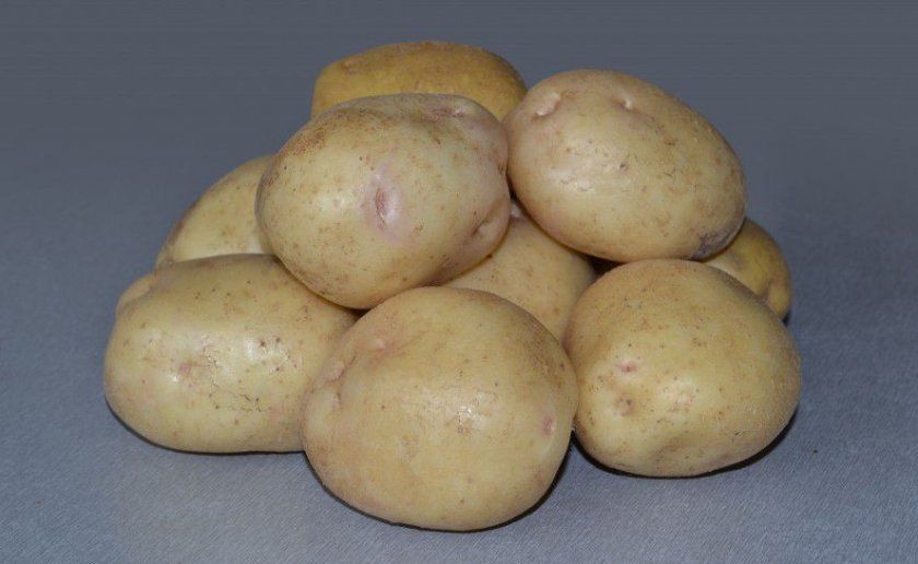 Картопля Невський