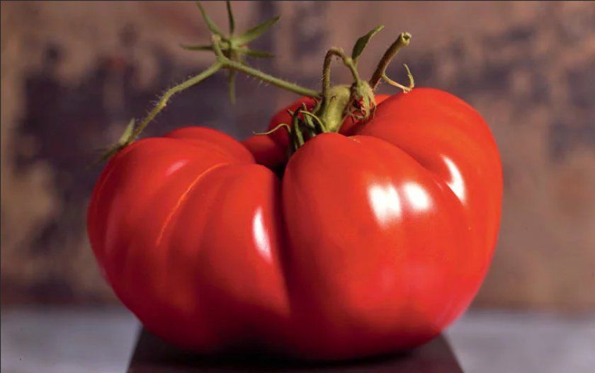 Сорти томатів, які варто посіяти в цьому сезоні