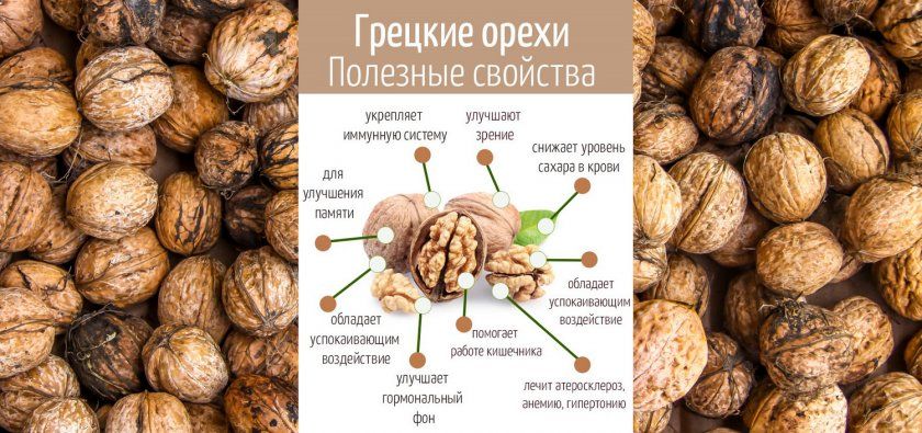 Корисні властивості волоських горіхів