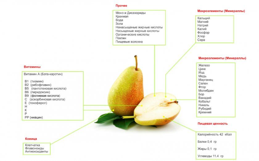 Хімічний і вітамінний склад груші