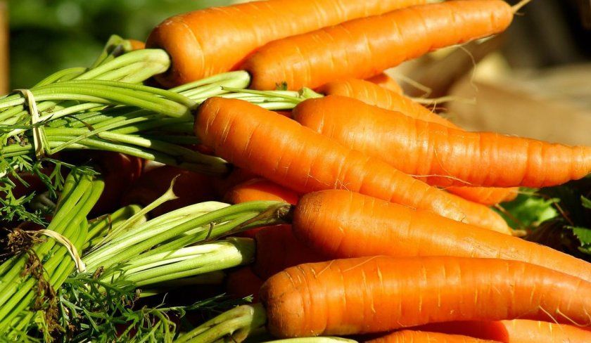 Корисні властивості вживання моркви