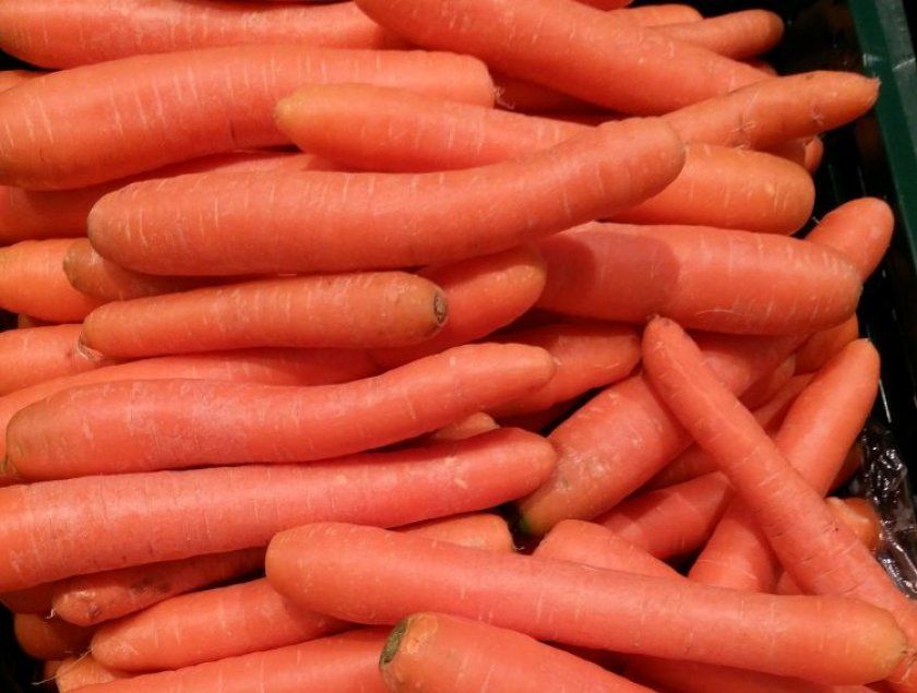Морква сорти Санькіна любов