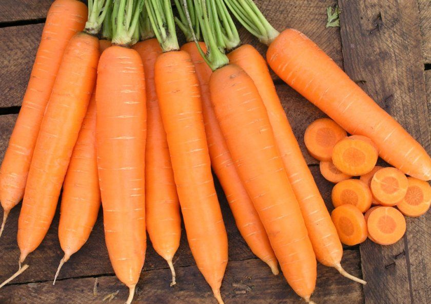 Переваги моркви Санькіна любов