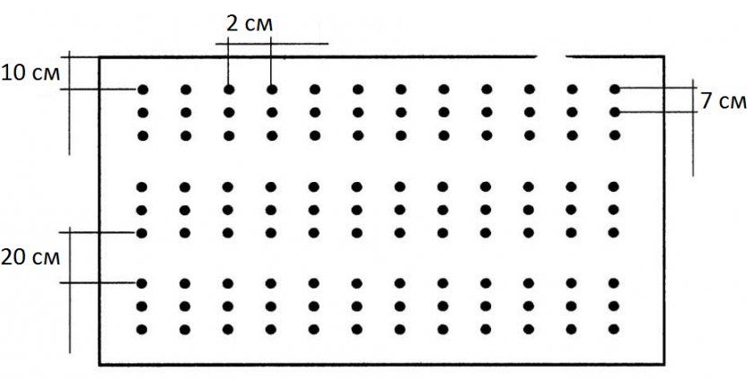 Схема посіву цибулі