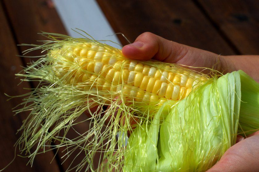 Вживання сирої кукурудзи