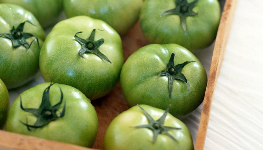 зелені помідори