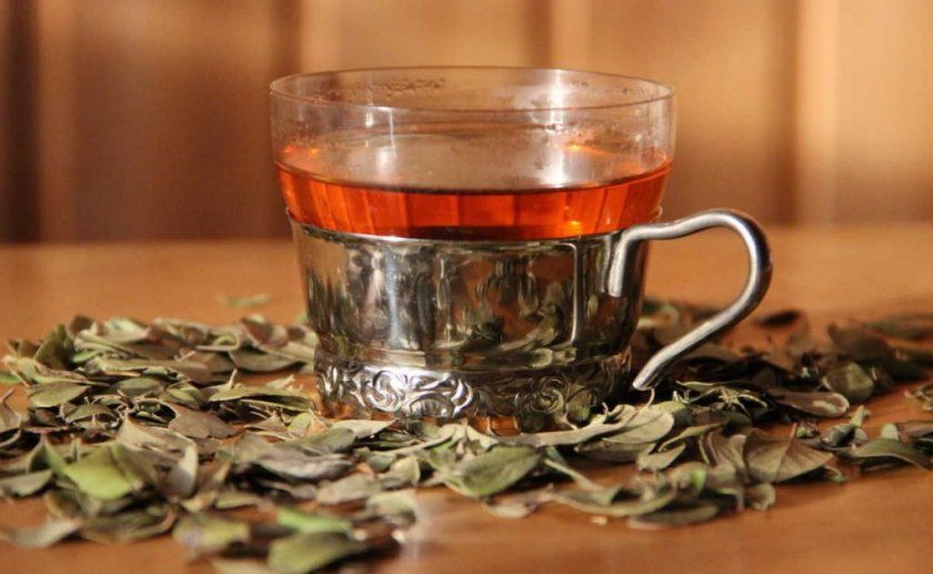 Чай з листя брусниці
