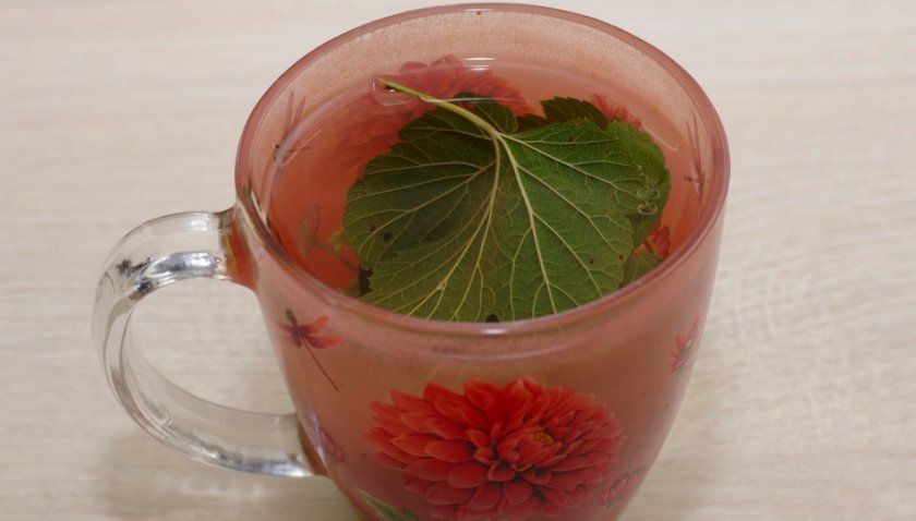 Чай з листя смородини