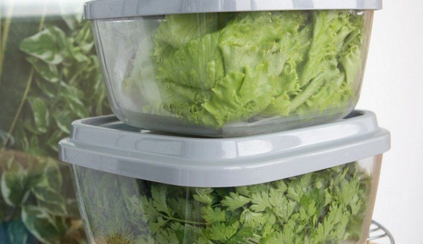 Зберігання зелені в холодильнику