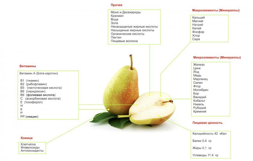 Хімічний склад і калорійність груші