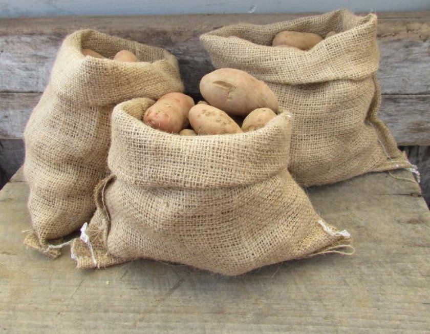 Зберігання картоплі в мішках