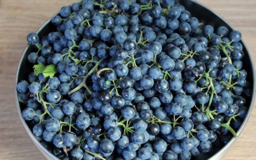 Який виноград краще взяти для компоту