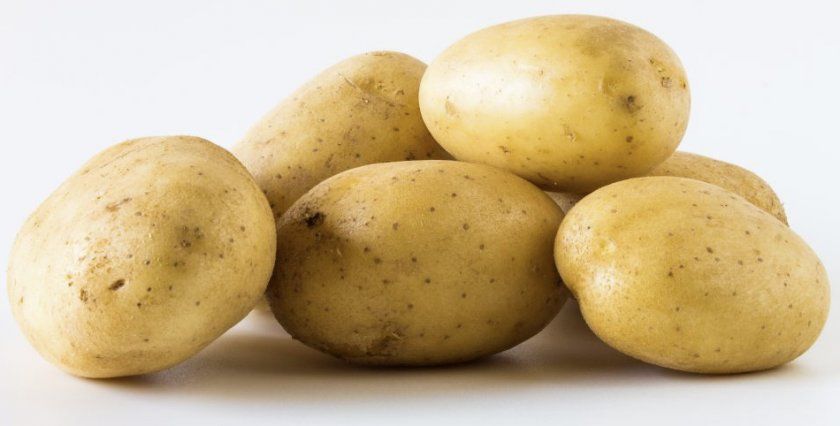 Бульби картоплі Фермер