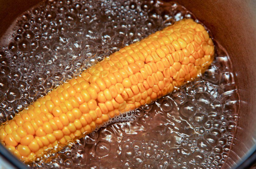 варена кукурудза