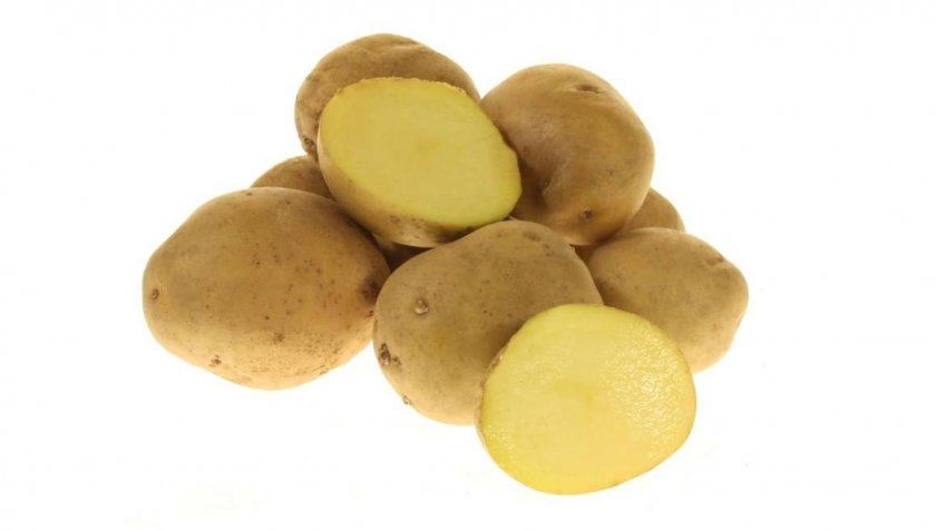 Картопля Луговський