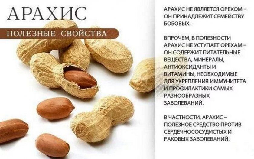 Корисні властивості арахісу