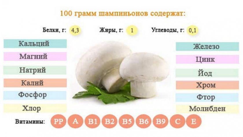Вітамінний склад гриба