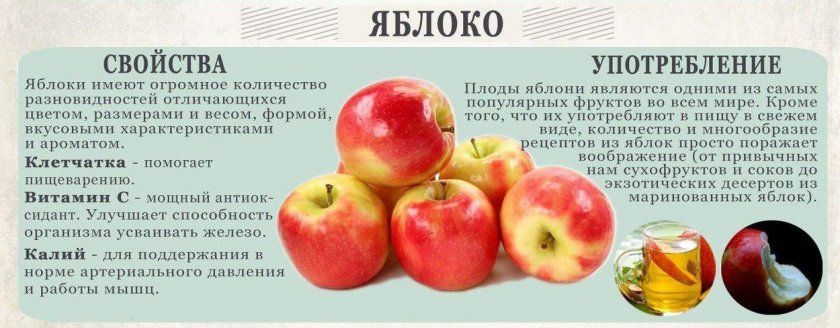 властивості яблук
