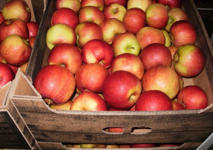 Яблука в ящиках