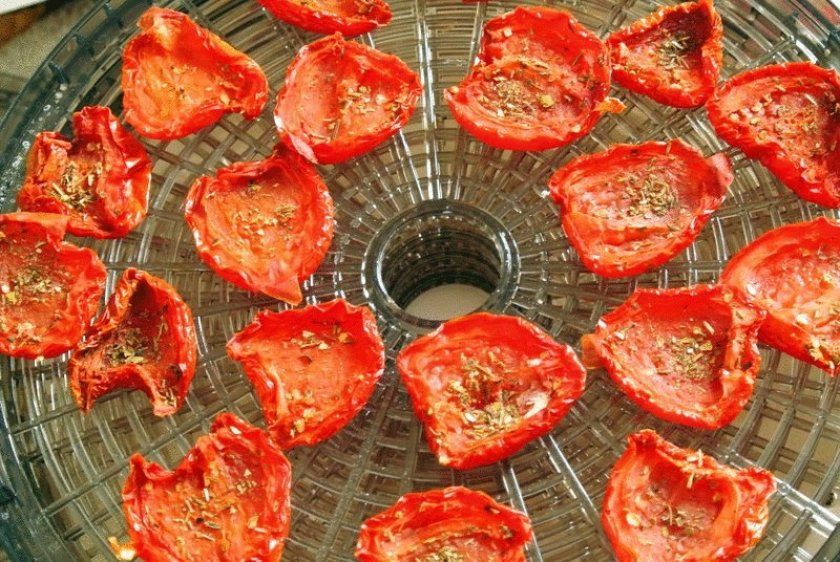 Сушка томатів в електросушарці