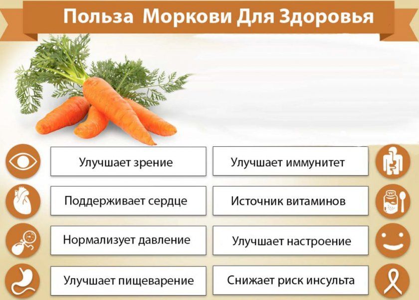 Корисні властивості моркви для організму людини